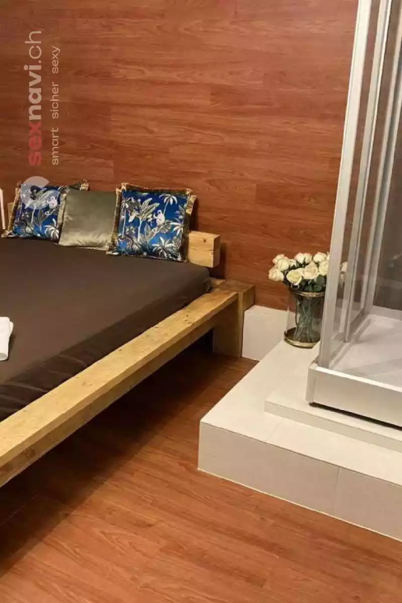 Studio Elite Basel City Studio Elite Basel City Basel