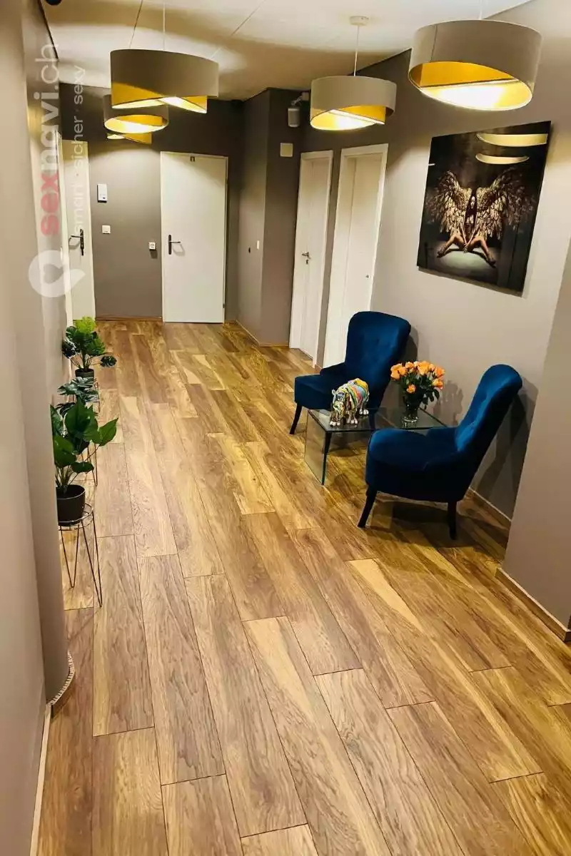 Studio Elite Luzern Studio Elite Luzern Luzern