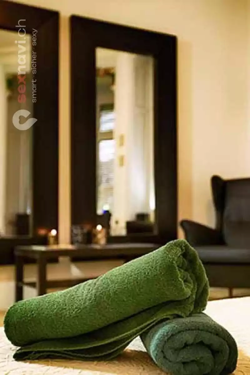 Villa Viktoria Villa Viktoria Basel