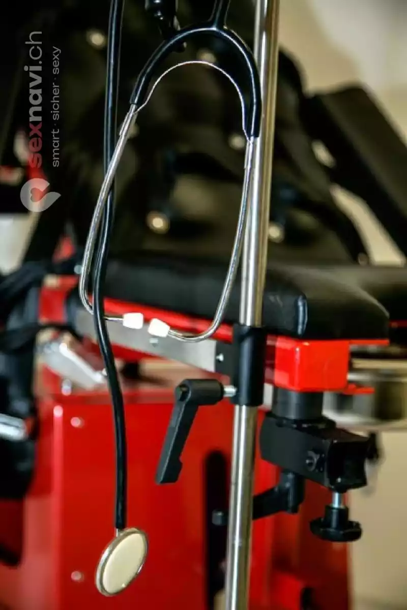 Villa Viktoria Villa Viktoria Basel