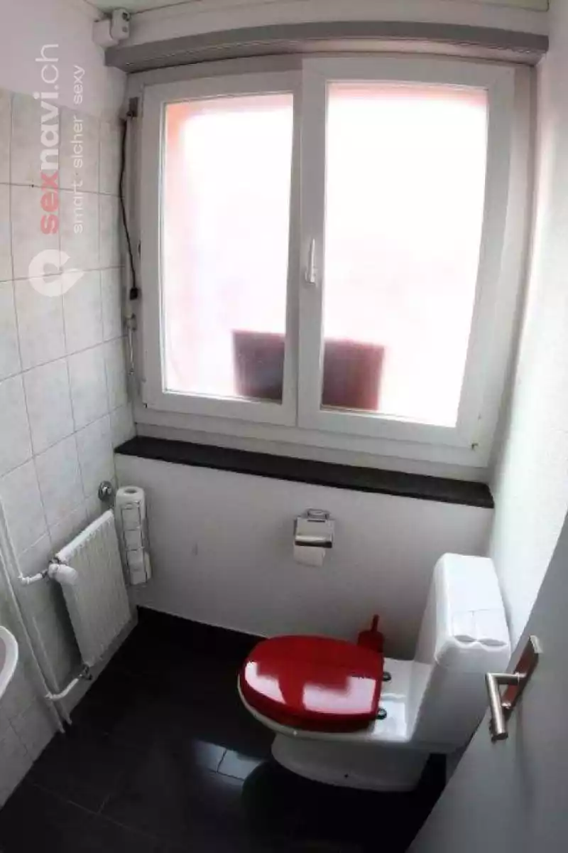 Bunny House Bunny House Solothurn