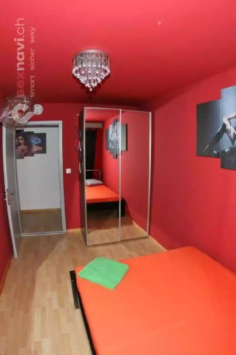 Bunny House Bunny House Solothurn