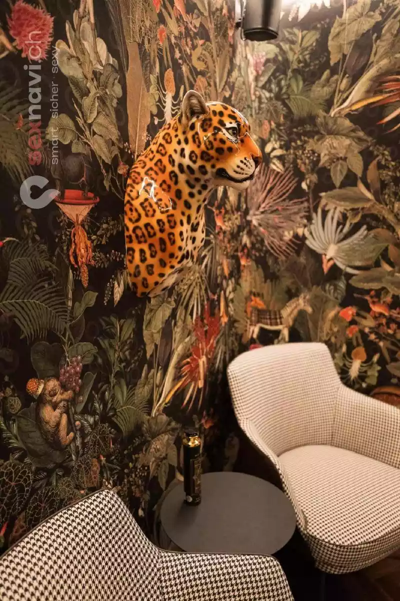 INSOMNIA INSOMNIA Solothurn