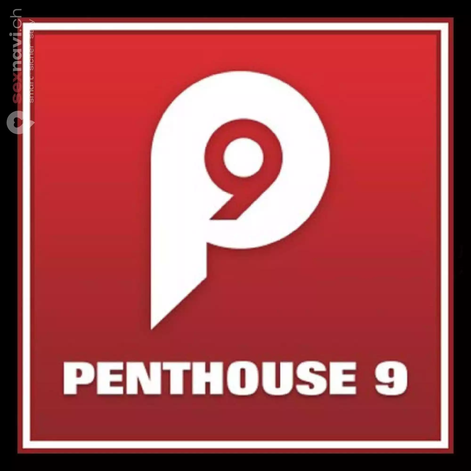 PENTHOUSE 9 PENTHOUSE 9 Luzern