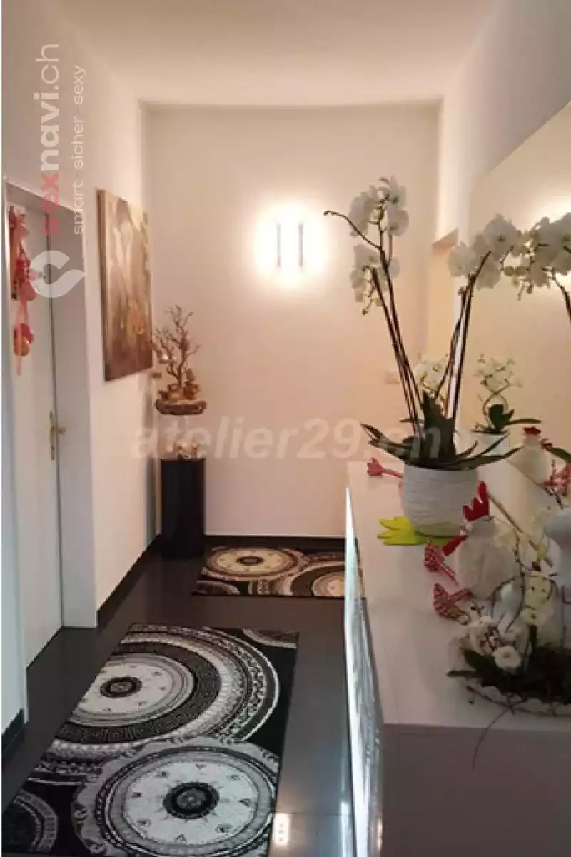 Atelier 29 Atelier 29 Luzern