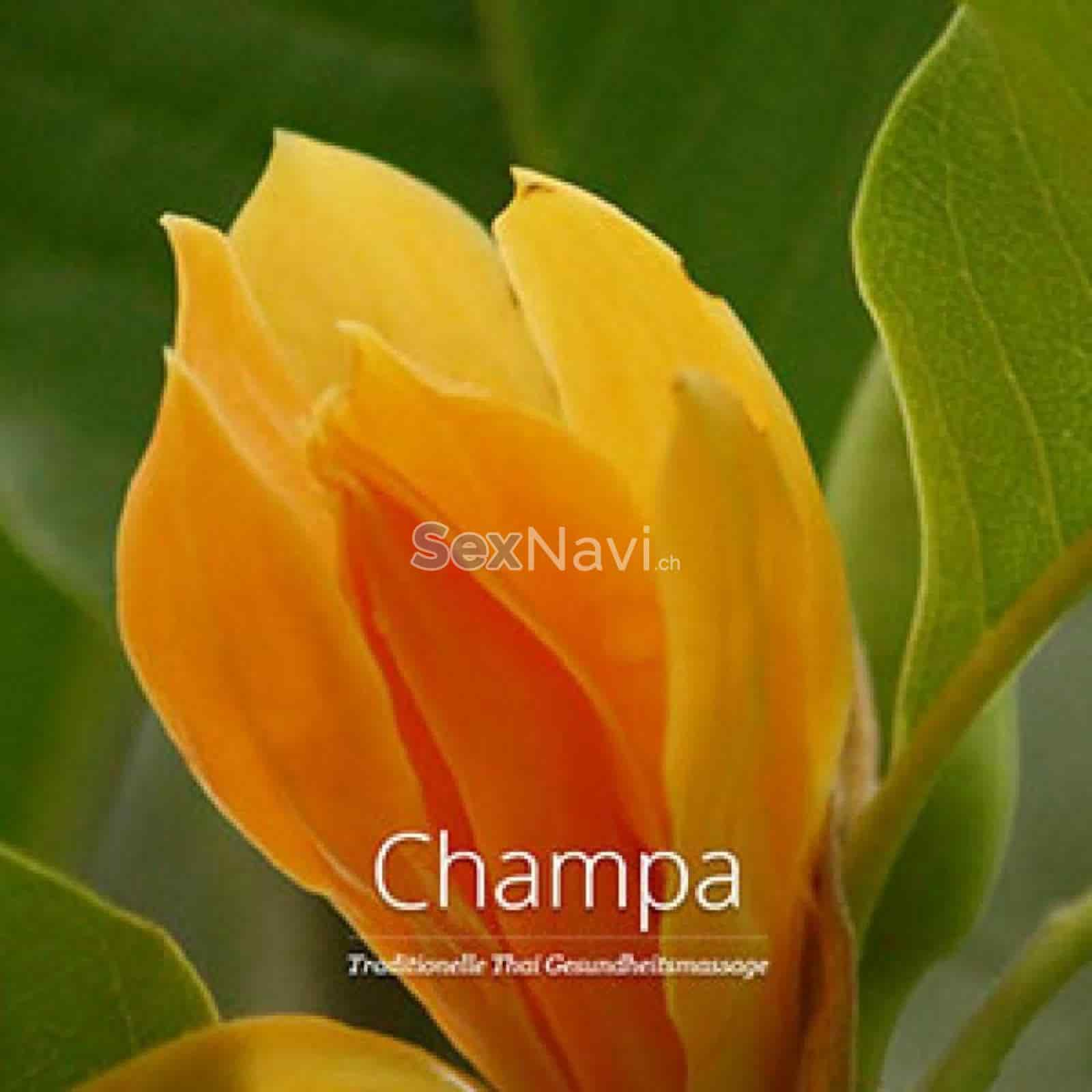 Champa Massagen Champa Massagen Aargau