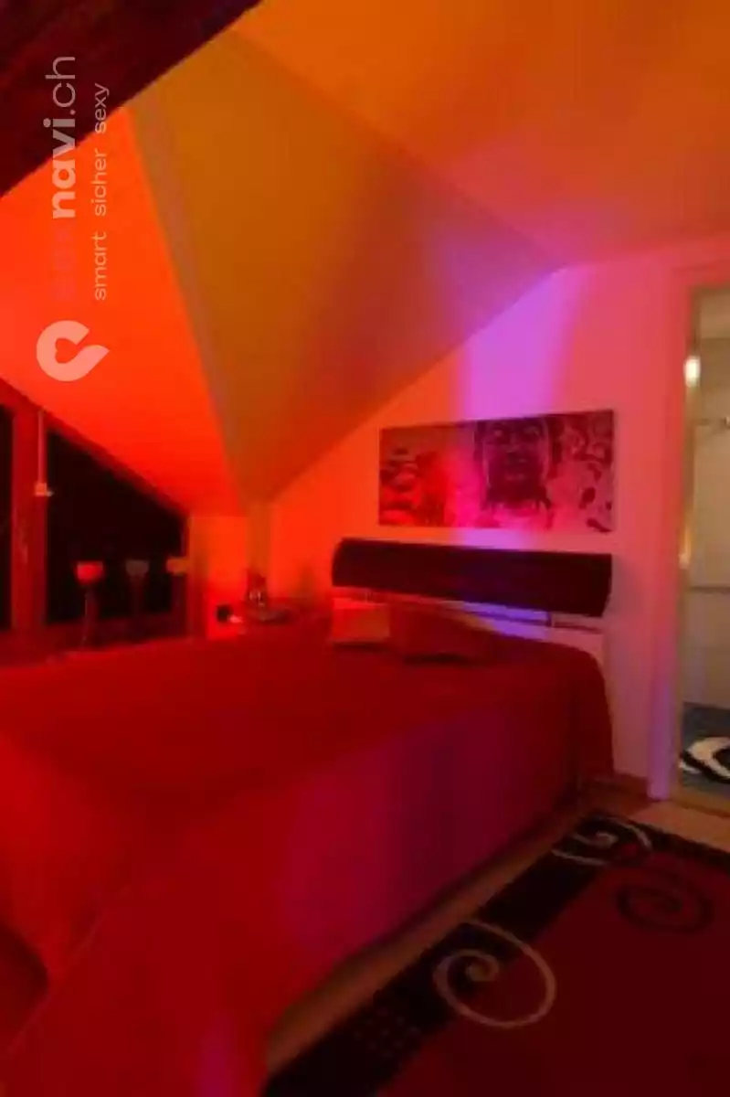 Goldencats Goldencats St.Gallen