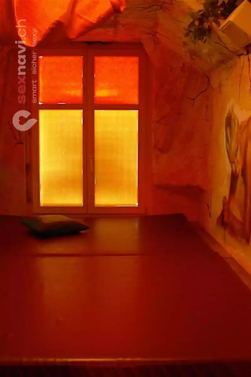 Cäsars Club Sauna Cäsars Club Sauna Zürich Umgebung