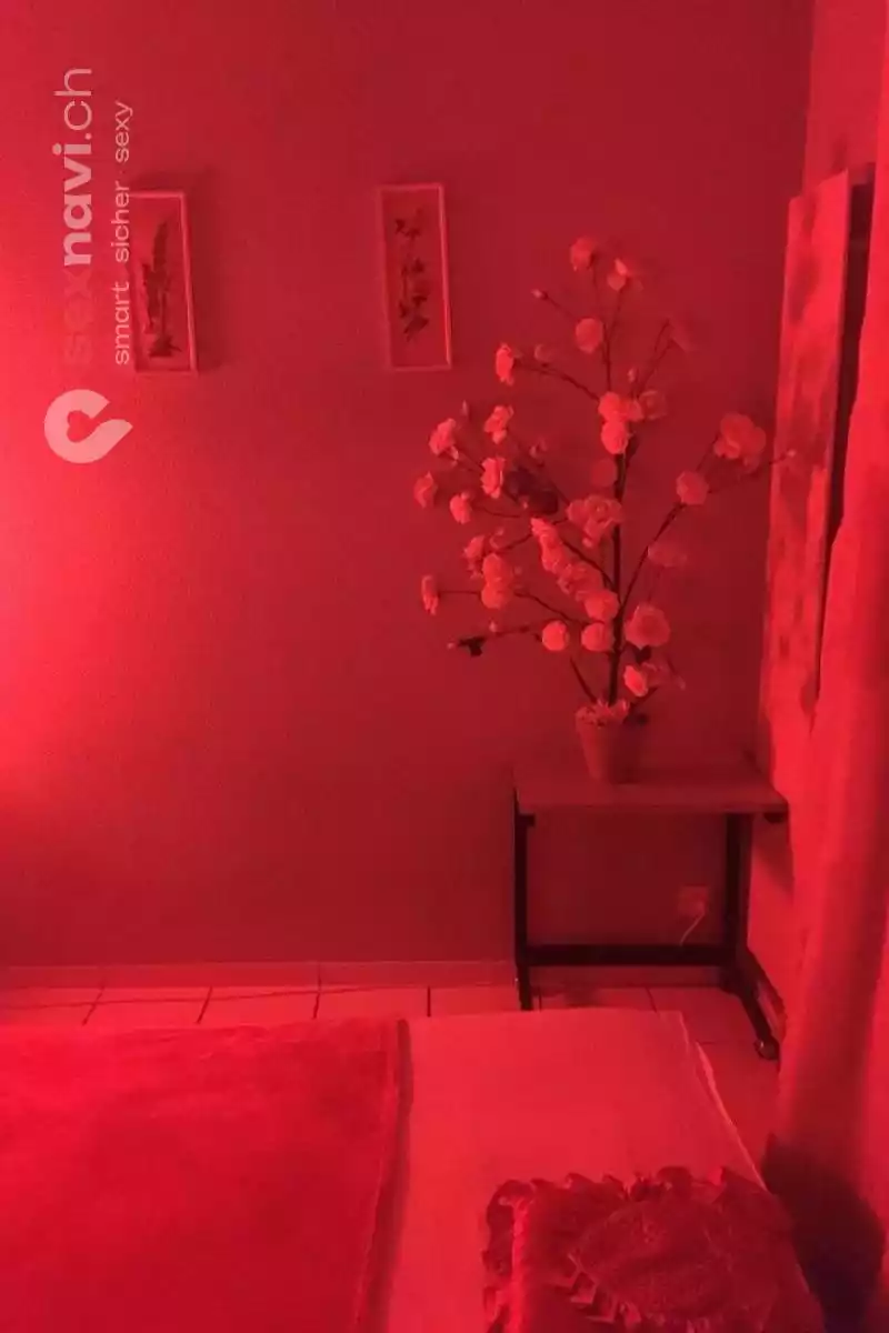 Thai Villa Thai Villa Zürich Stadt