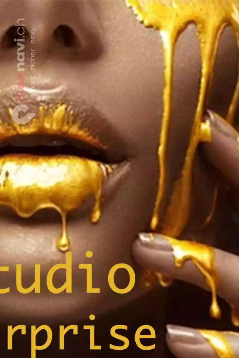 Studio SURPRISE Studio SURPRISE Bern Stadt