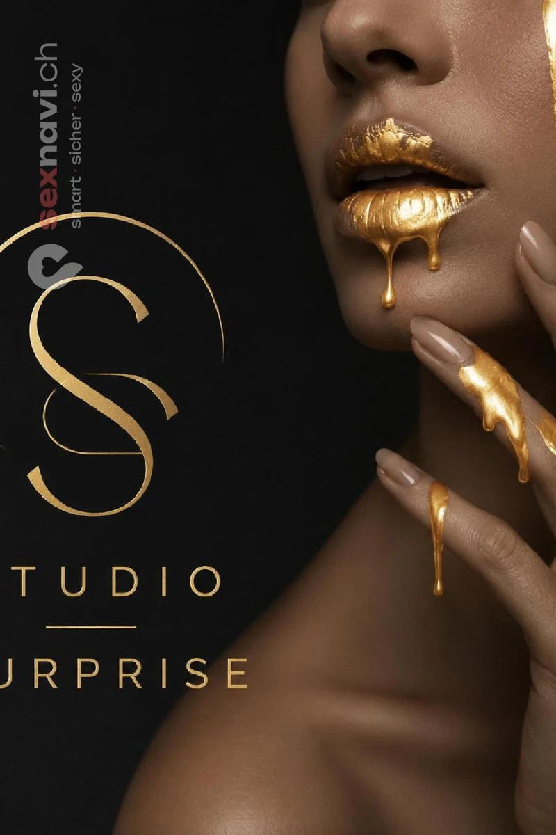 Studio SURPRISE Studio SURPRISE Bern Stadt