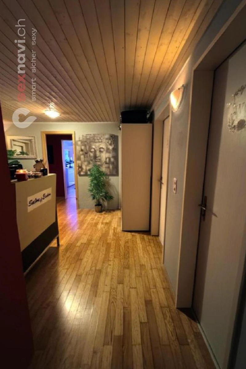 Salon Elektra Tagelswangen Salon Elektra Tagelswangen Z&uuml;rich Umgebung