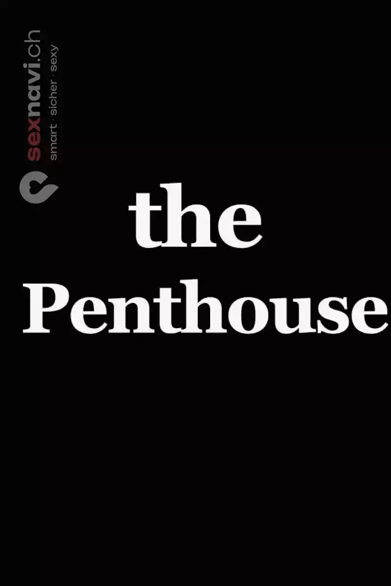 thePENTHOUSE thePENTHOUSE Zürich Umgebung