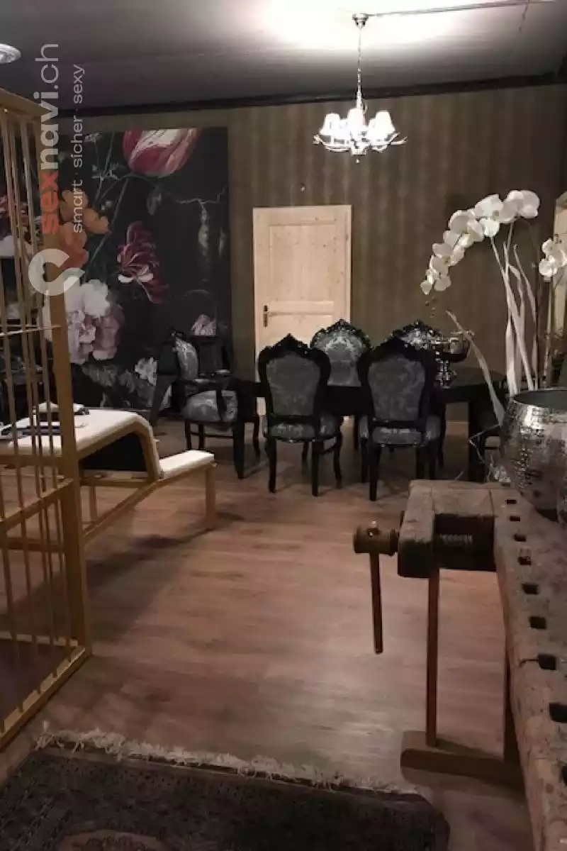 BDSM PALACE Zürich Egg BDSM PALACE Zürich Egg Zürich Umgebung