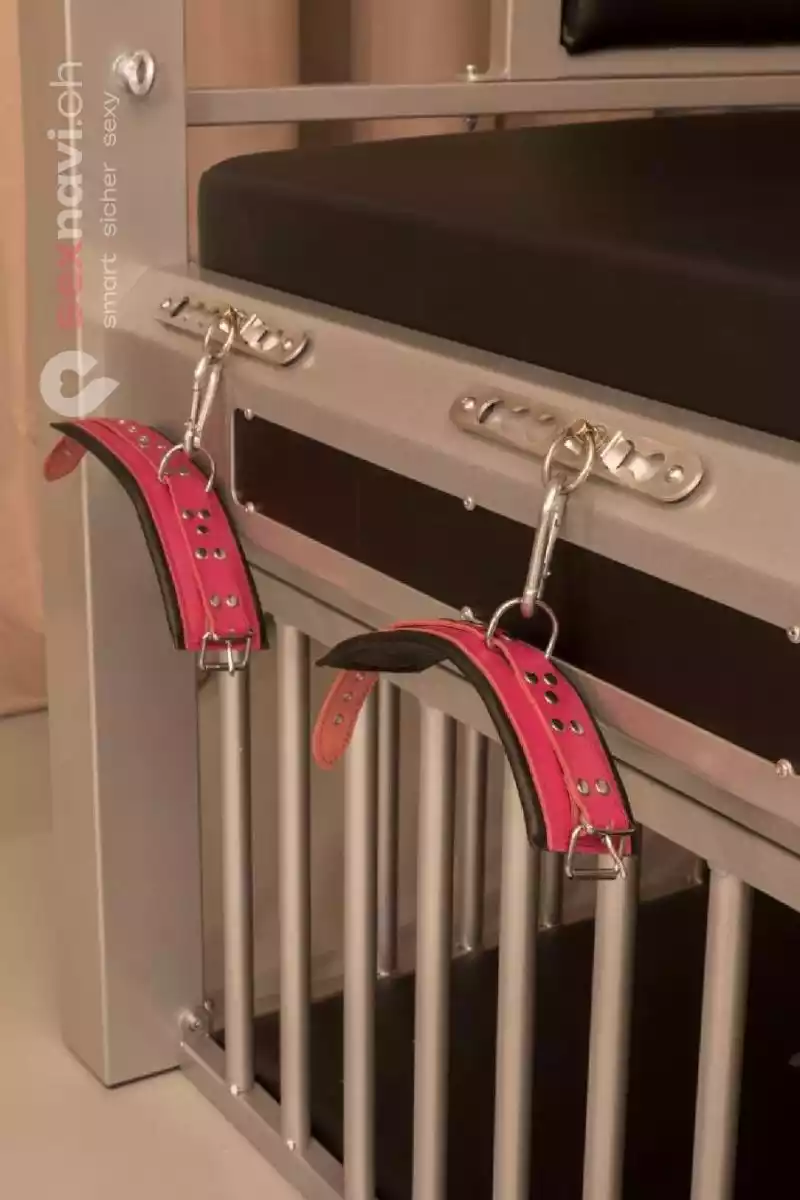 BDSM PALACE Zürich Egg BDSM PALACE Zürich Egg Zürich Umgebung