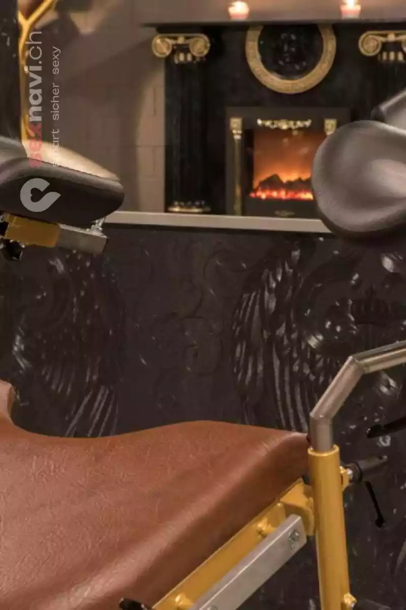 BDSM PALACE Zürich Egg BDSM PALACE Zürich Egg Zürich Umgebung