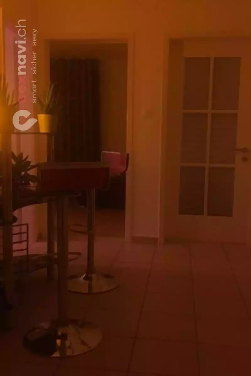 STUDIO ASIA WEI WEI STUDIO ASIA WEI WEI Luzern