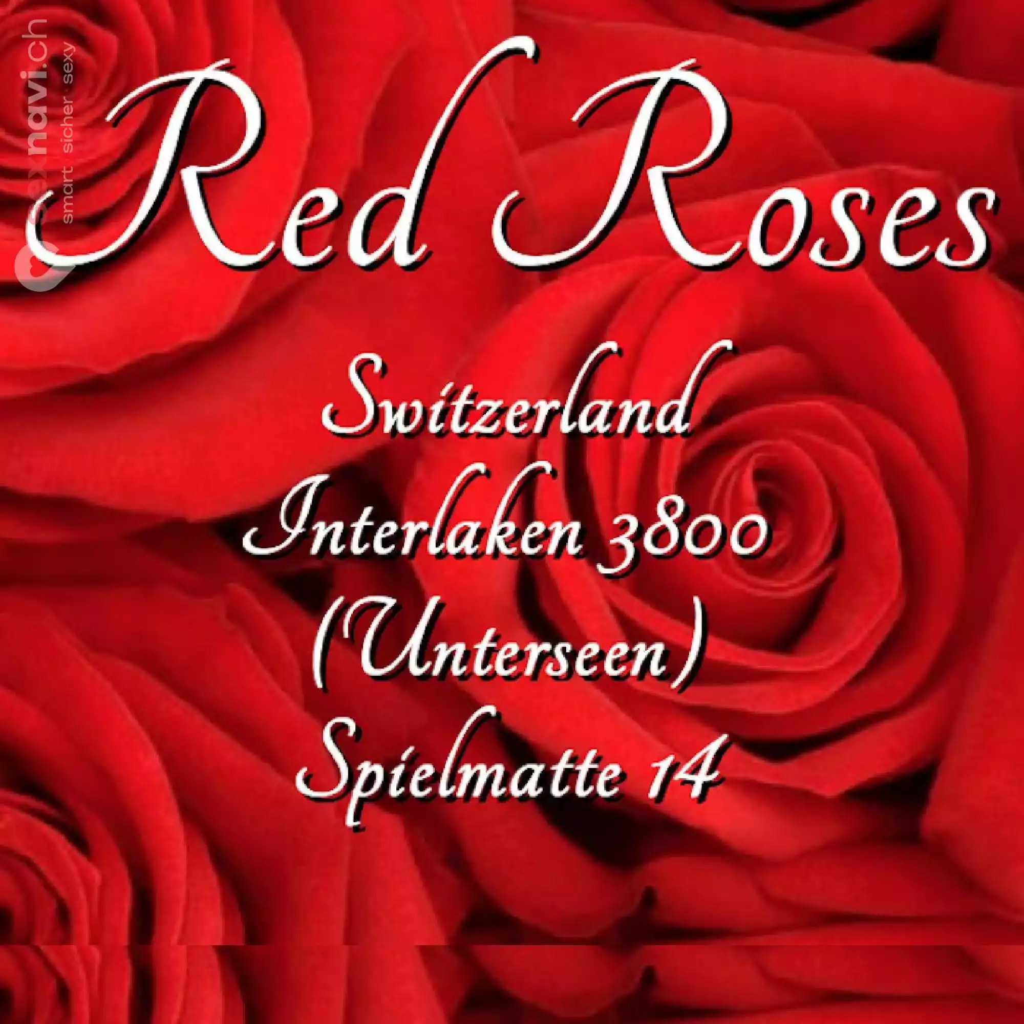 Red Roses EG Red Roses EG Bern Umgebung