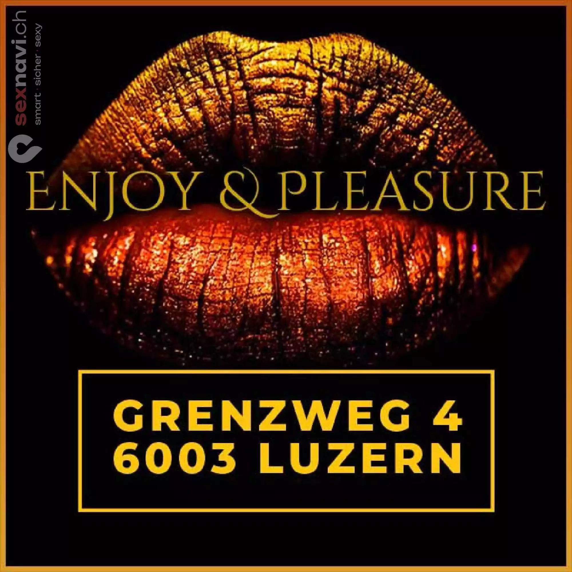 Enjoy and Pleasure Enjoy and Pleasure Luzern