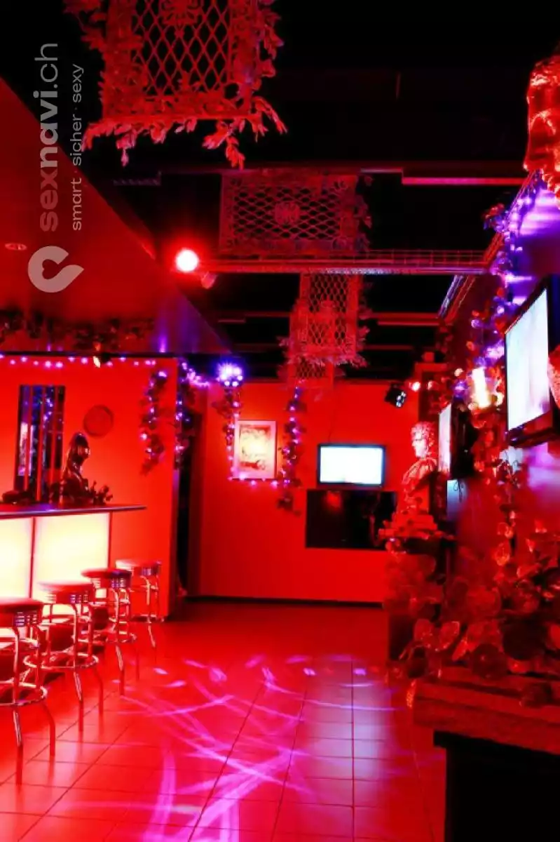 Cruising World Cruising World Luzern