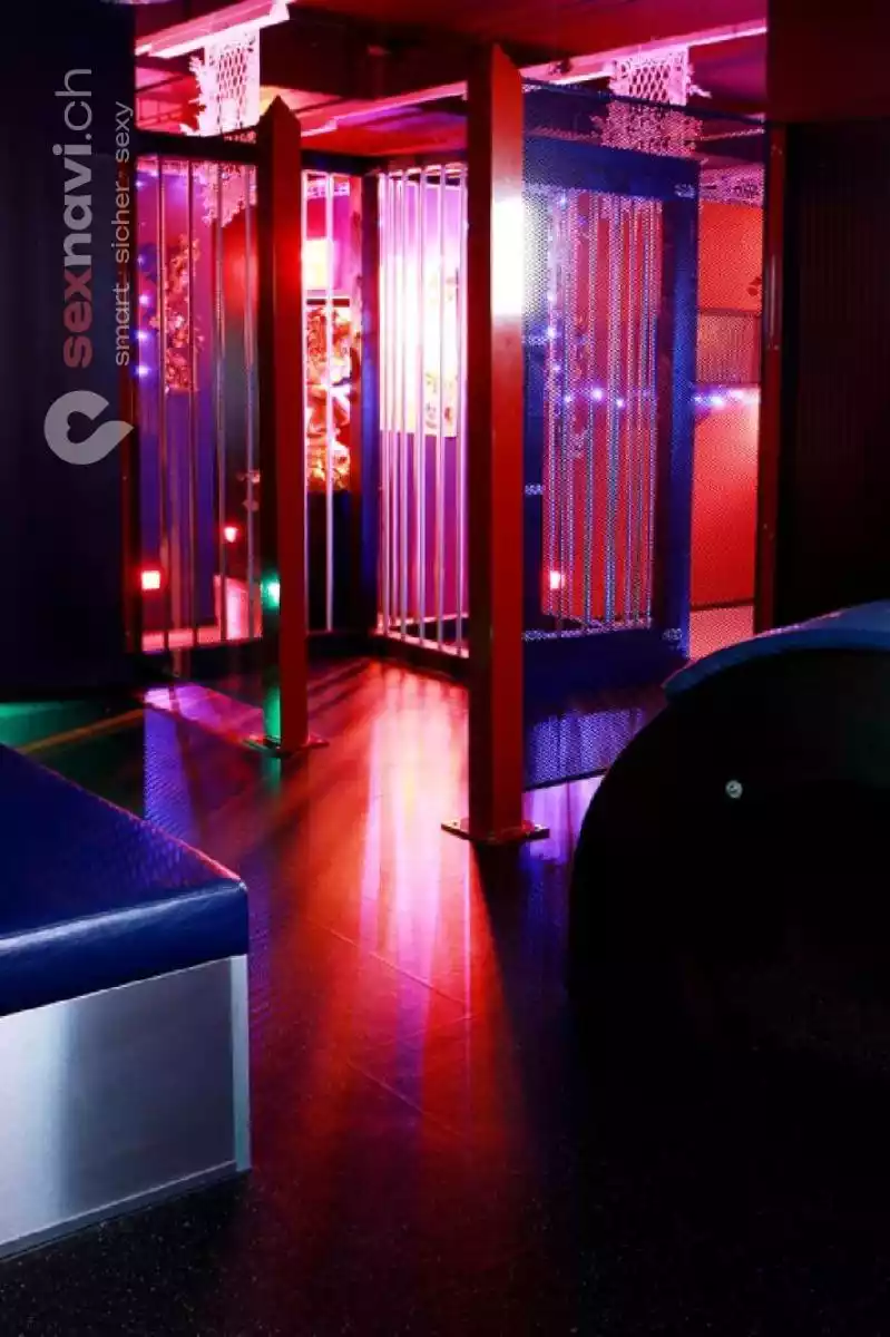 Cruising World Cruising World Luzern