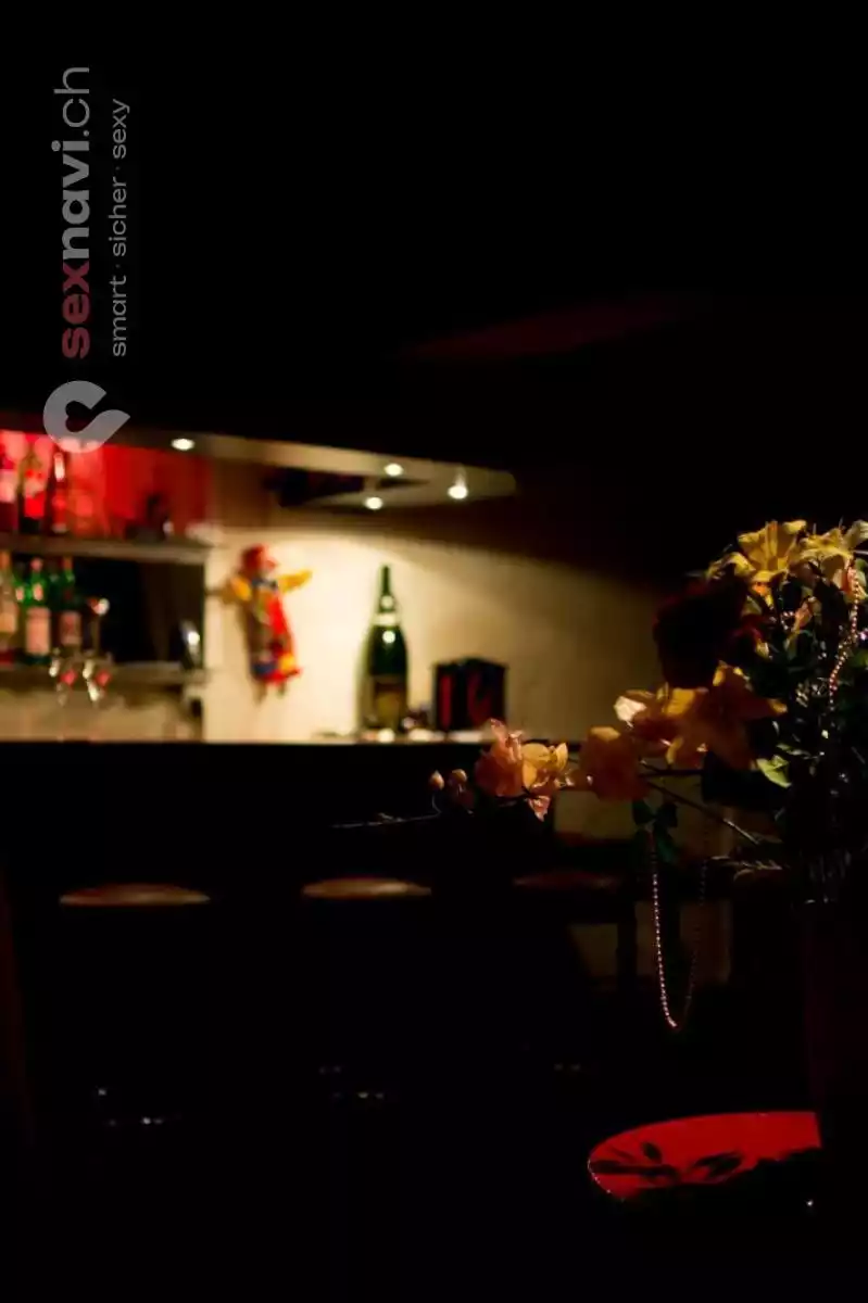 Red OX Red OX Bern Umgebung