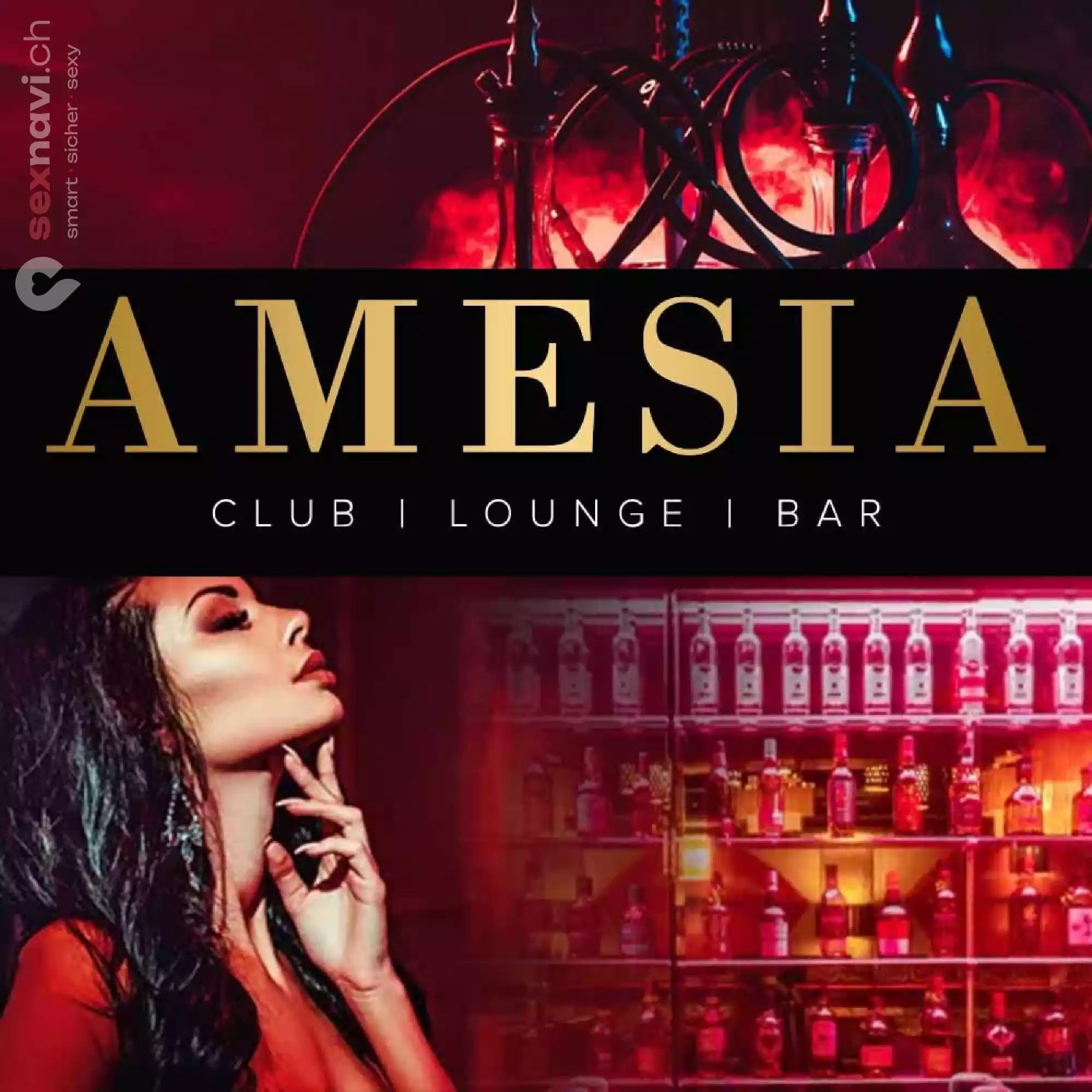 Amesia Amesia Zürich Umgebung