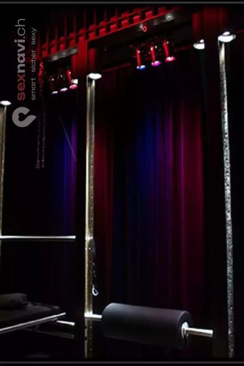 Hotel Bizart Hotel Bizart Zürich Umgebung