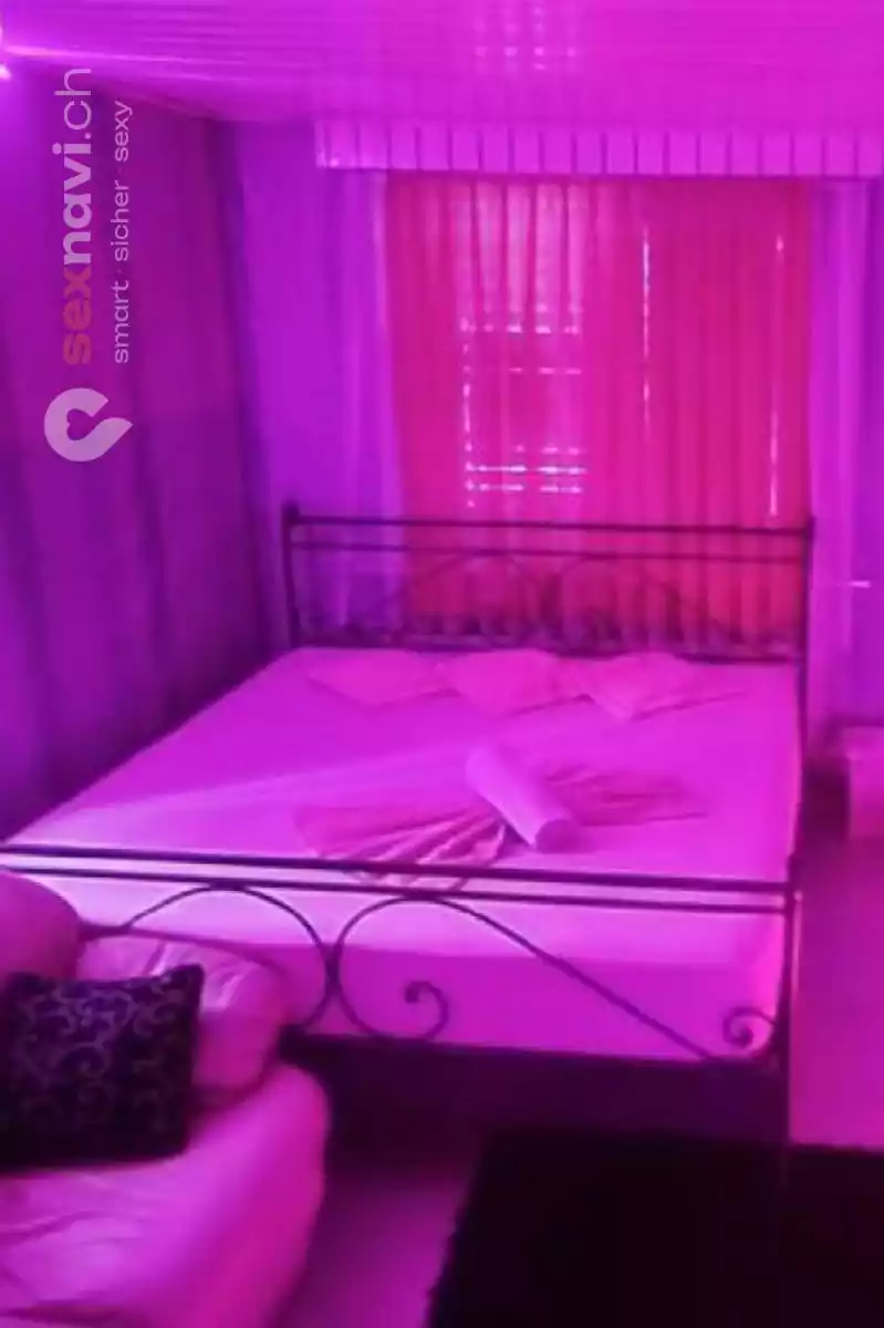 Budapest Girls Budapest Girls Zürich Umgebung