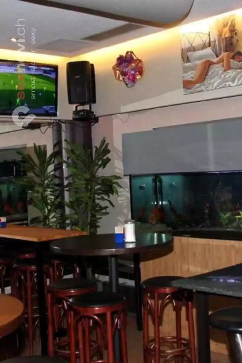 Bar Amazonia Bar Amazonia Zürich Stadt