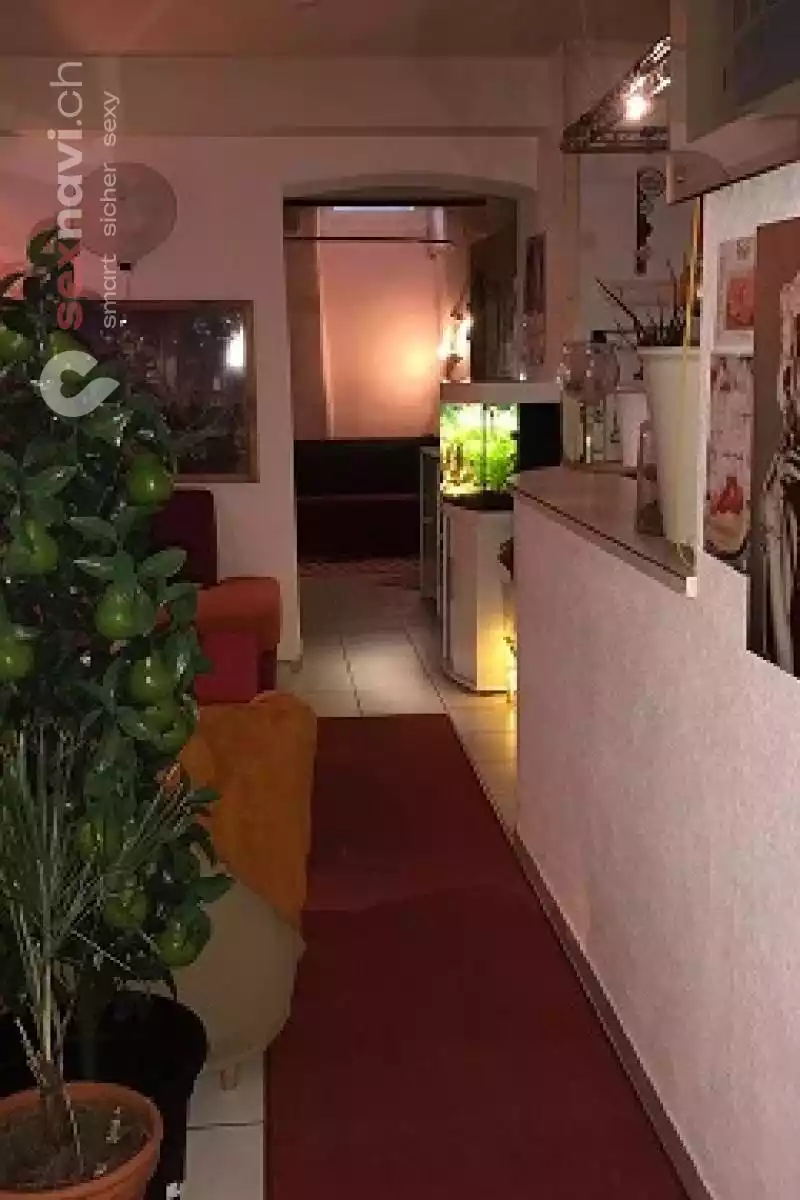 Thai Sauna Thai Sauna Basel