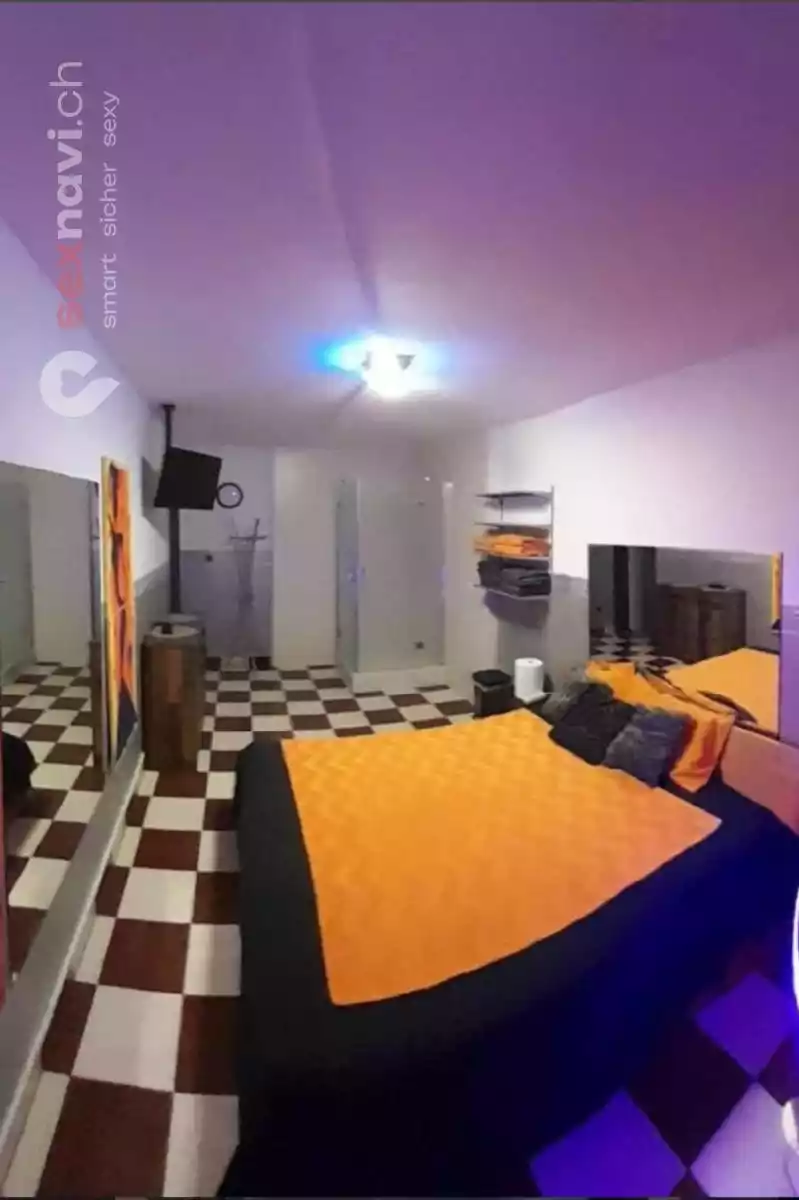 Dream Cats Dream Cats Niederösterreich