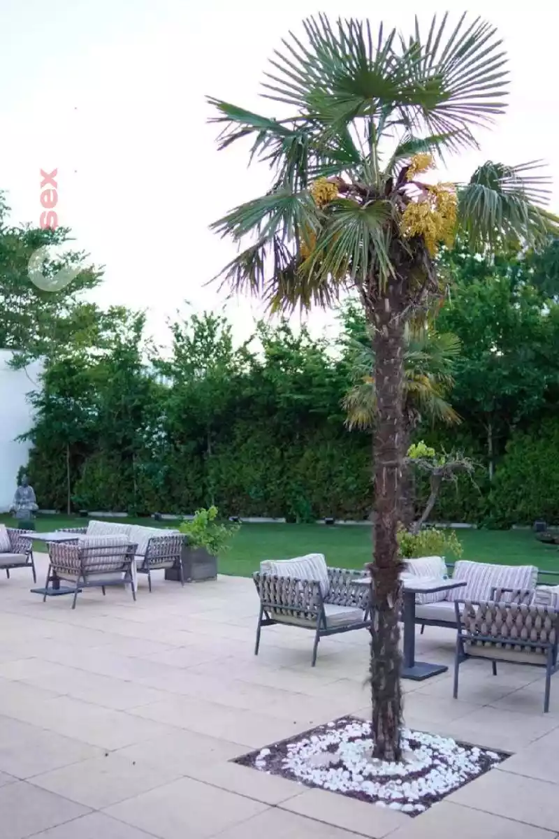 Club  Oceans Club  Oceans Nordrhein-Westfalen