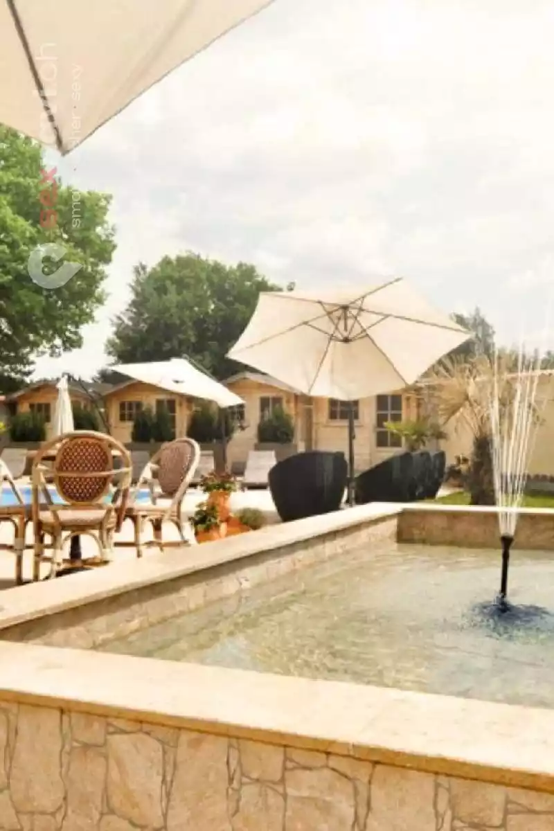 Palmas Palmas Bayern