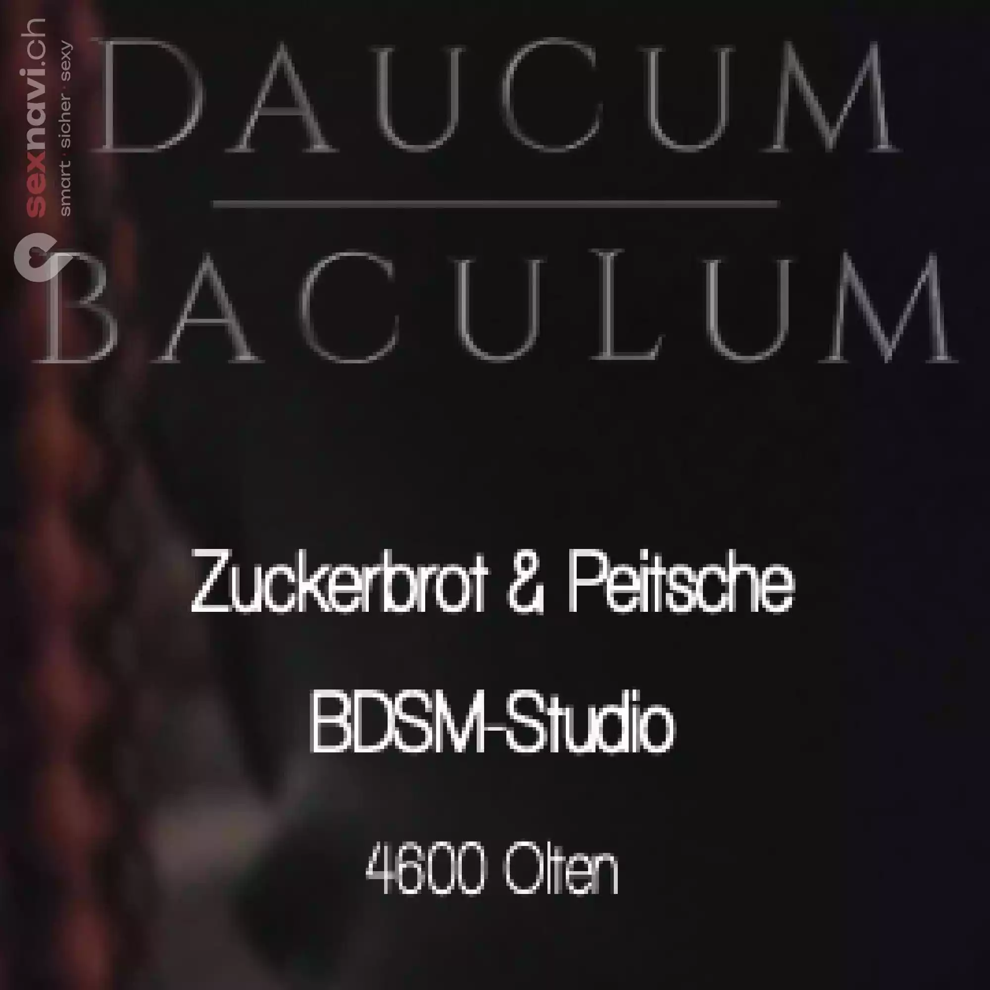 Daucum Baculum Daucum Baculum Solothurn