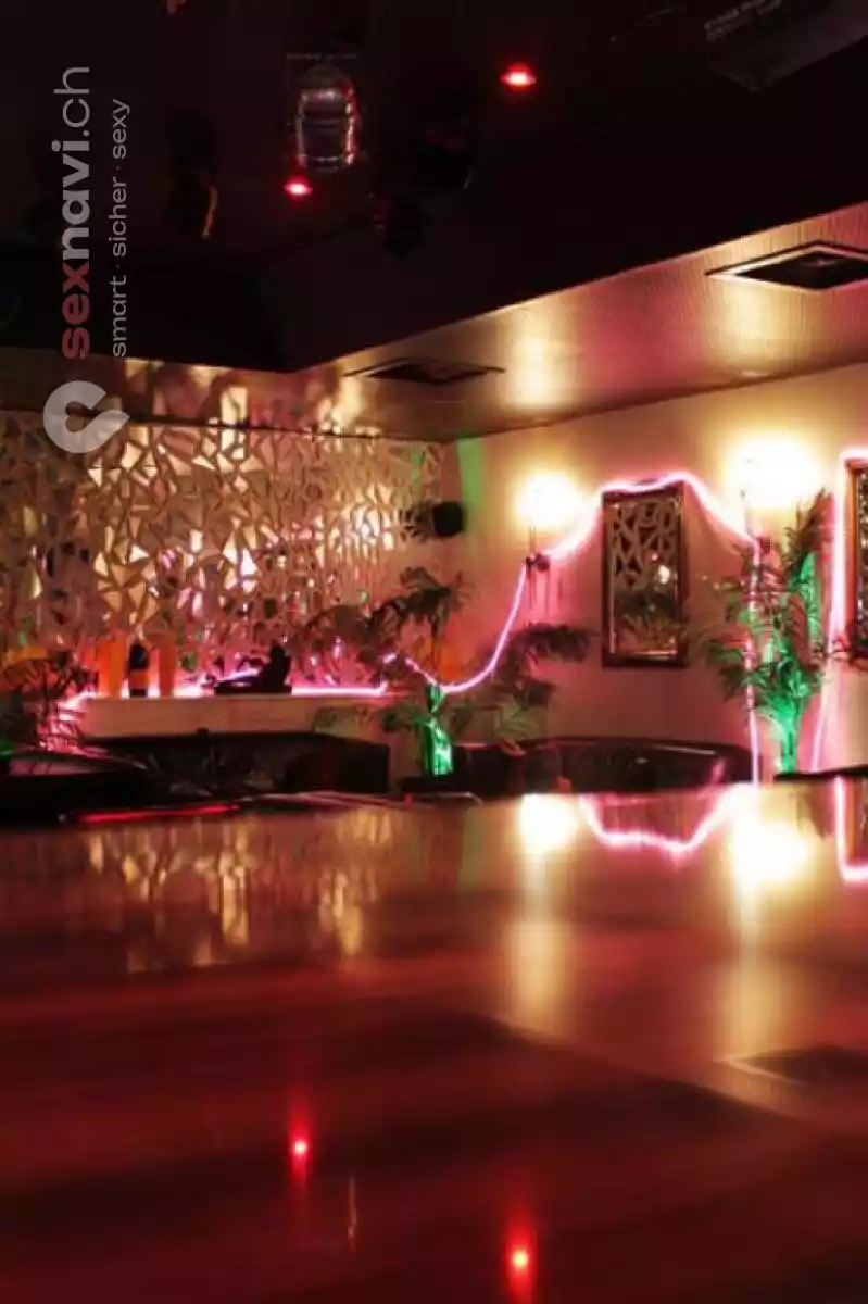 Crazy Jungle Crazy Jungle Bayern