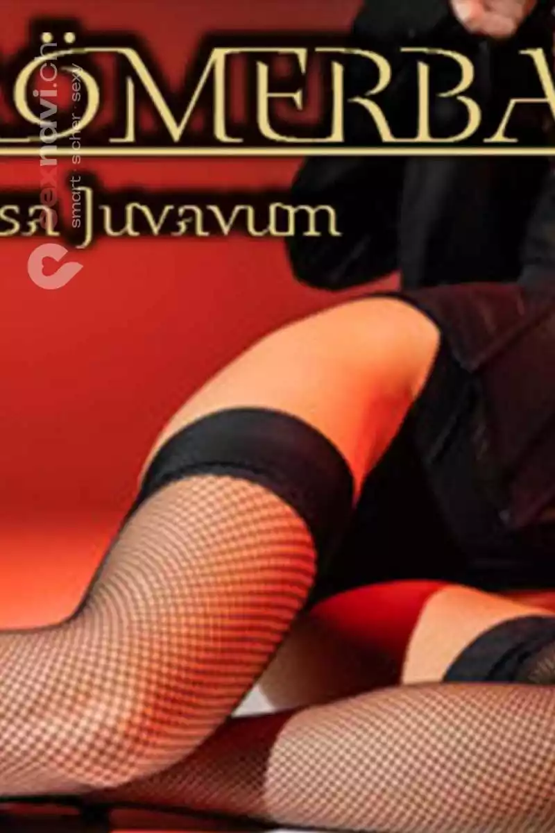 Romerbad Casa Juvavum Romerbad Casa Juvavum Salzburg