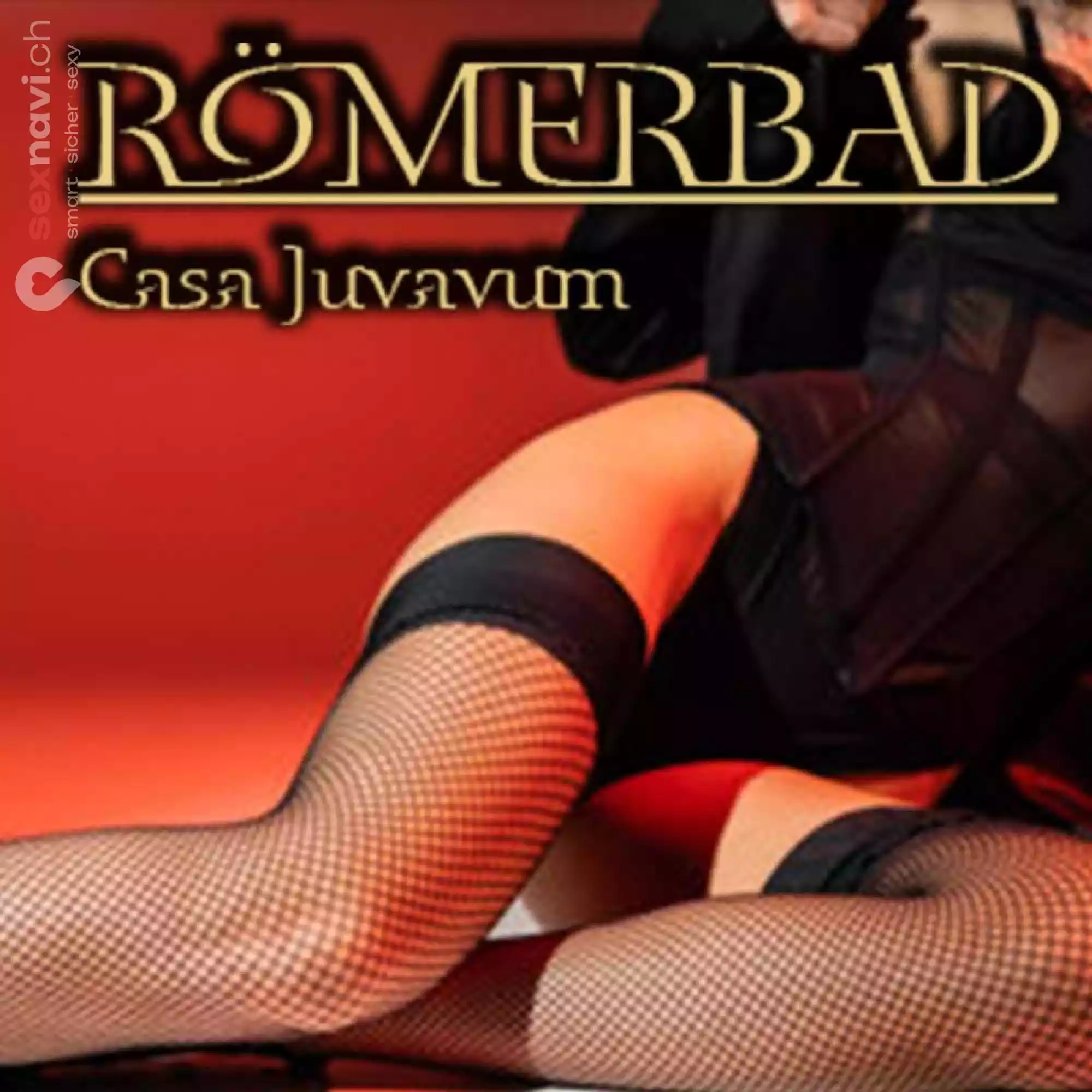 Romerbad Casa Juvavum Romerbad Casa Juvavum Salzburg