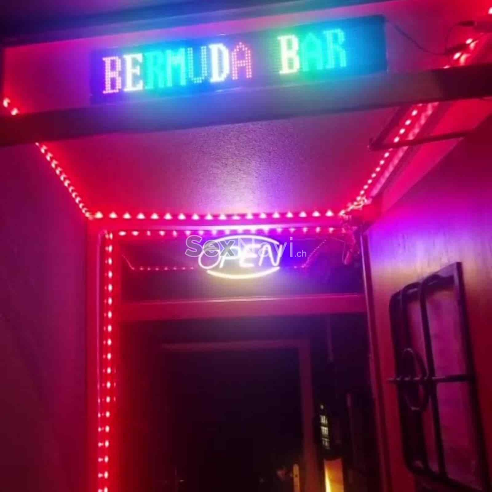 Bermuda Bar Bermuda Bar Basel