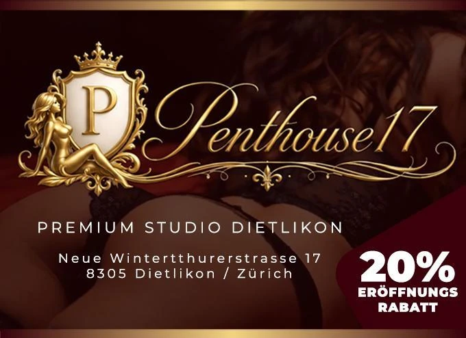 Penthouse 17