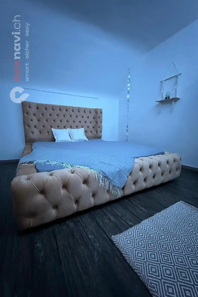 Studio abzugeben Komplettes Haus 3.000 CHF/M Schweiz, Solothurn, Trimbach