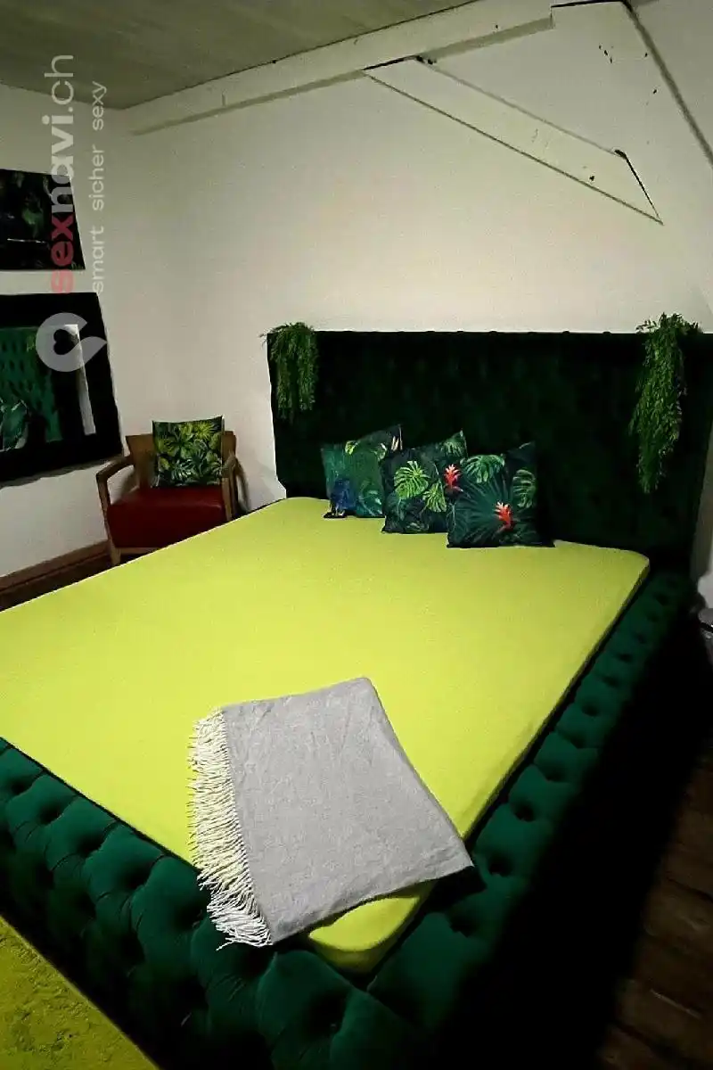 Studio abzugeben Komplettes Haus 3.000 CHF/M Schweiz, Solothurn, Trimbach