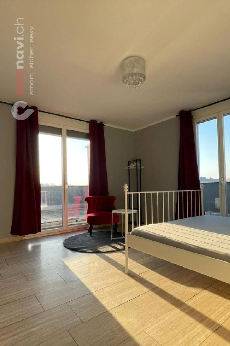 Top Location Penthouse in Basel Basel, Basel, Schweiz