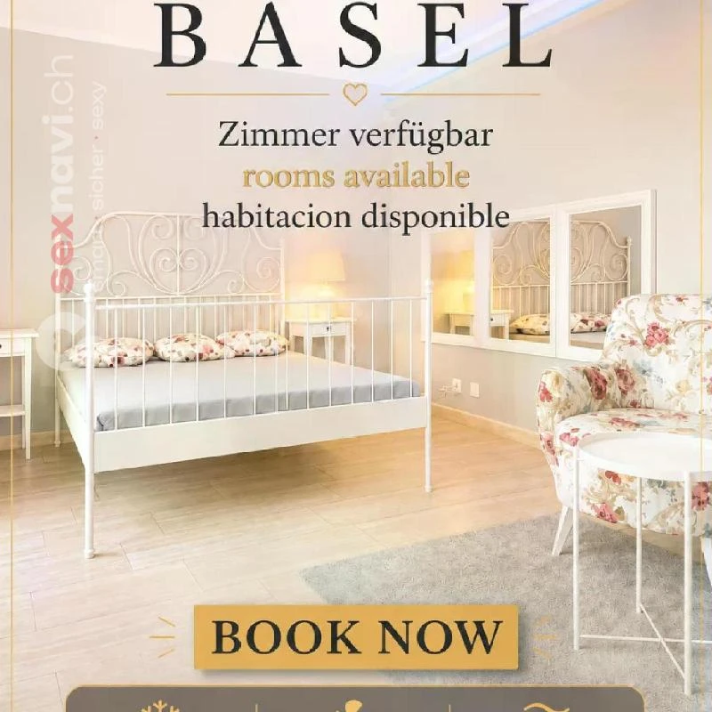 Top Location Penthouse in Basel Basel, Basel, Schweiz