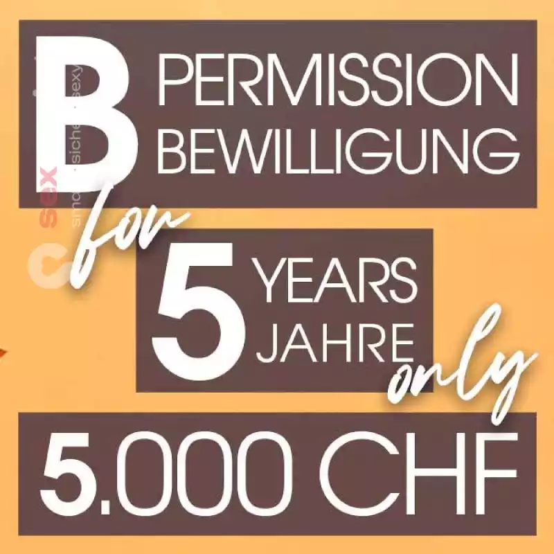 B-Bewilligung ❎ 5 Jahre B-Bewilligung ❎ Basel, Basel, Schweiz