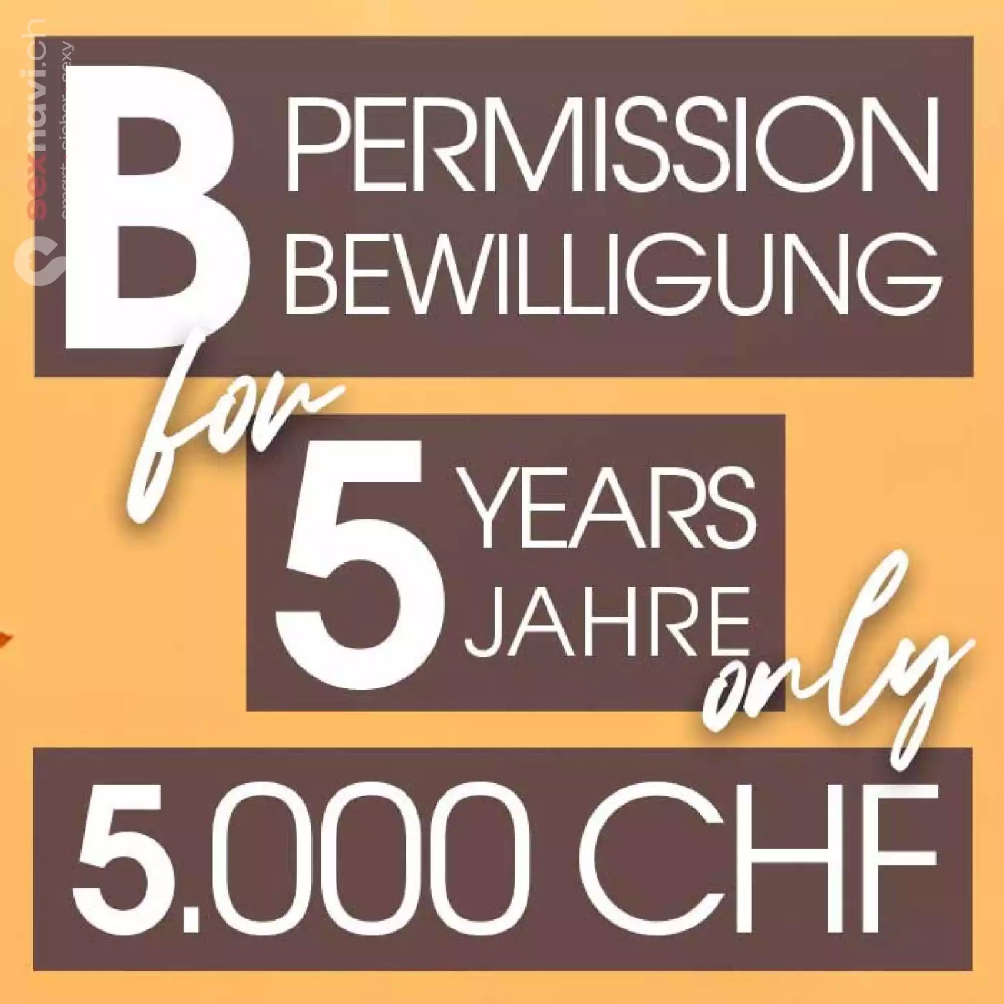 B-Bewilligung ❎ 5 Jahre B-Bewilligung ❎ Basel, Basel, Schweiz