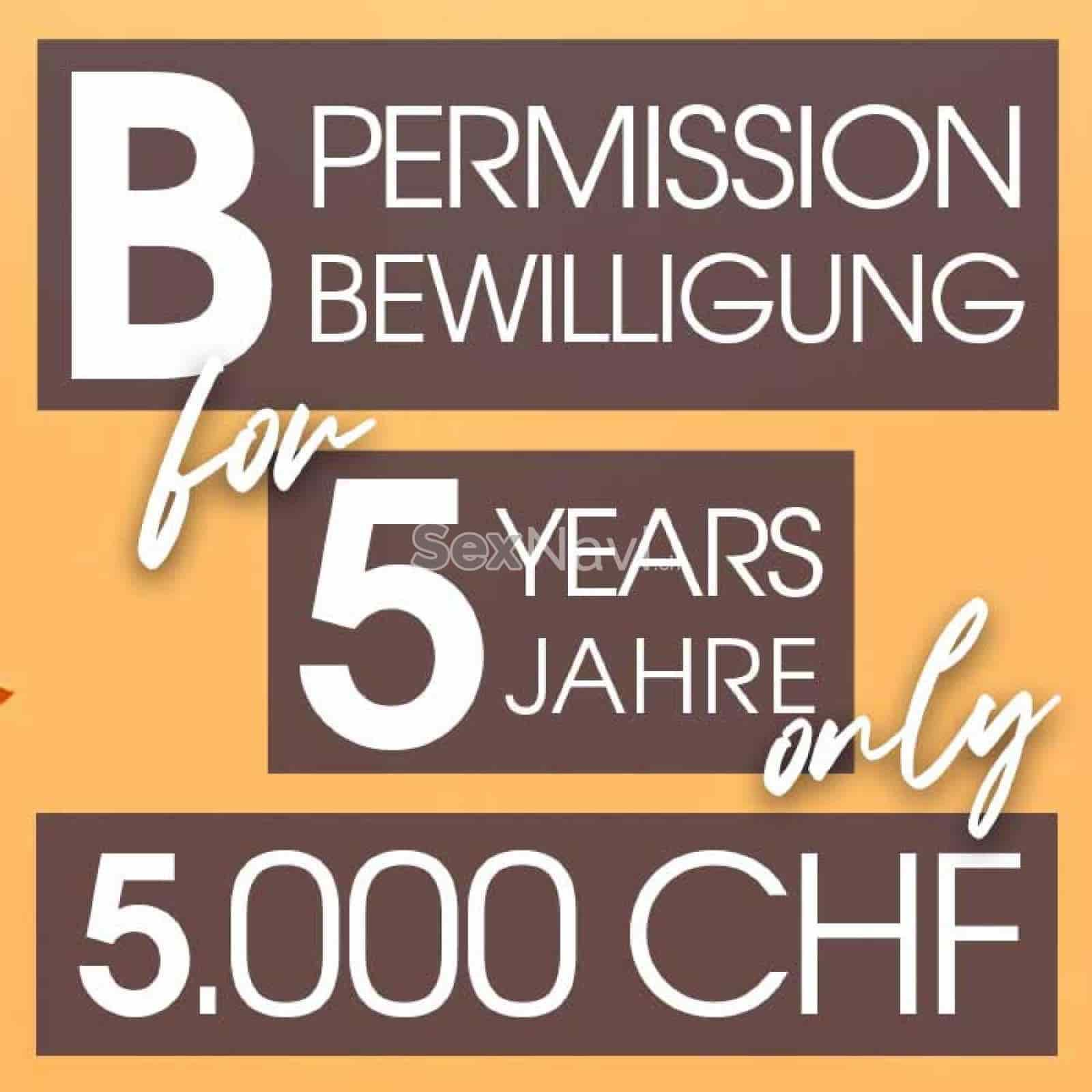 B-Bewilligung ❎ 5 Jahre B-Bewilligung ❎ Basel, Basel, Schweiz