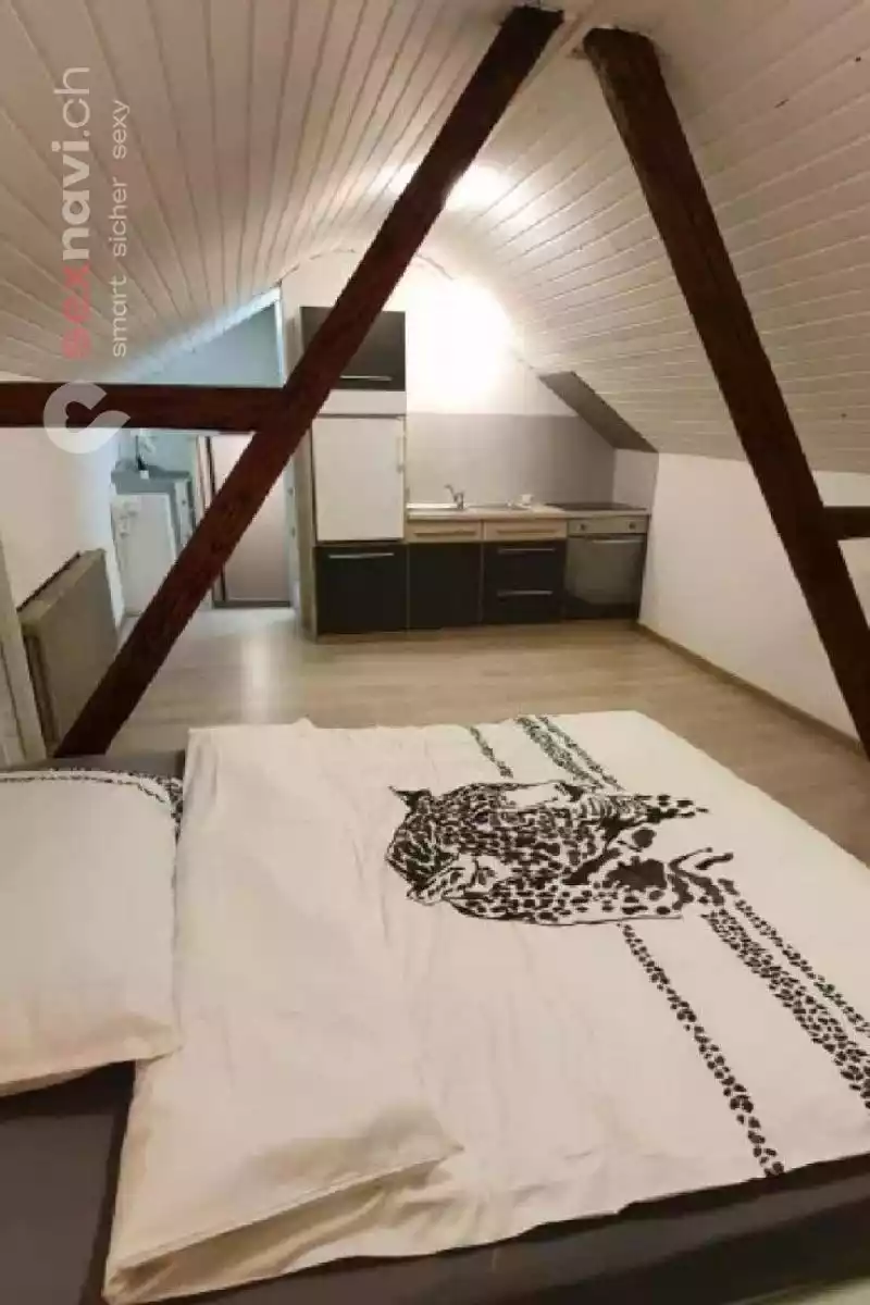 ⚡ab 400 CHF/ Woche⚡  Aargau, Schweiz, Menziken