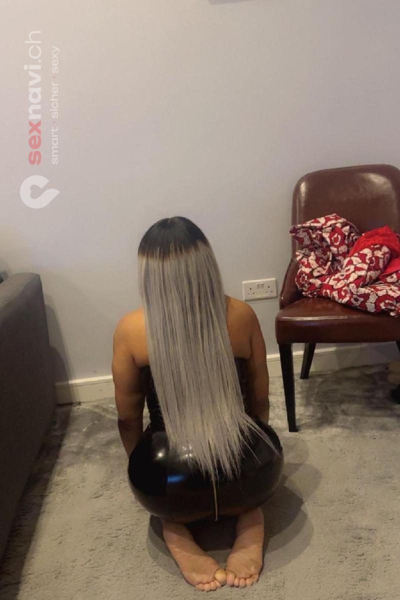 OLIVIA-FRANKREICH- Versaute Wildkatze..... Basel, Basel, Schweiz