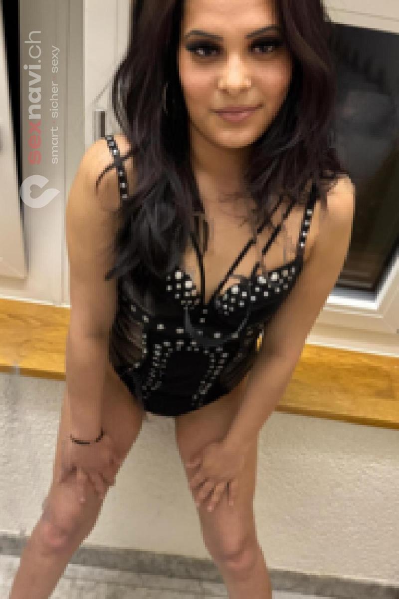 Netti 🔥 Top-FULL-Service !!!🔥 Z&uuml;rich Umgebung, Z&uuml;rich, Zug, Z&uuml;rich Stadt, Schweiz